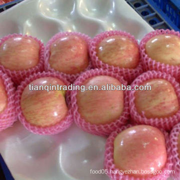 shandong fuji apple